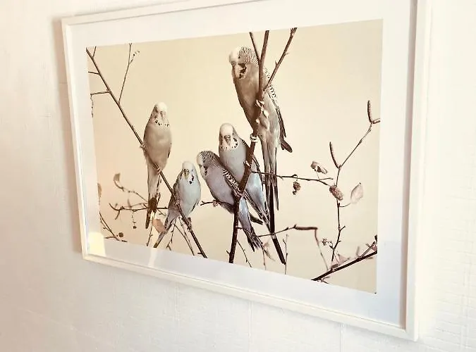 Uriges In Der Altstadt Von Mit Sauna, Kinderspielecke, 1000mbit Wlan, 1 Minute Vom Wasserfall Entfernt 펜션 *