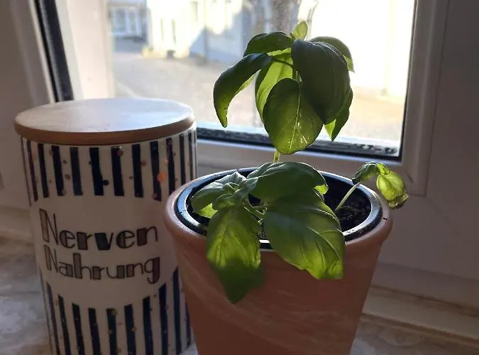 Casa de Férias Uriges In Der Altstadt Von Mit Sauna, Kinderspielecke, 1000mbit Wlan, 1 Minute Vom Wasserfall Entfernt